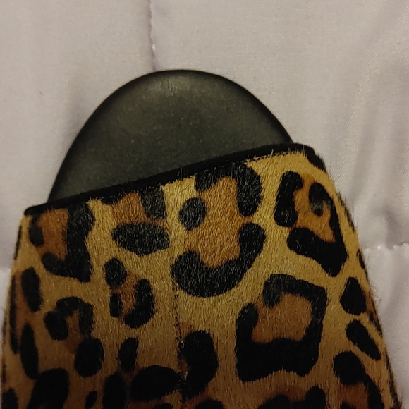 Moda Spana - Picture 6 of 7